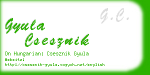 gyula csesznik business card